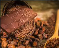 Chocolatinas 70%
