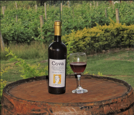 Vino Cova