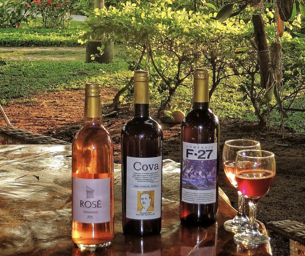 Vinos para cata