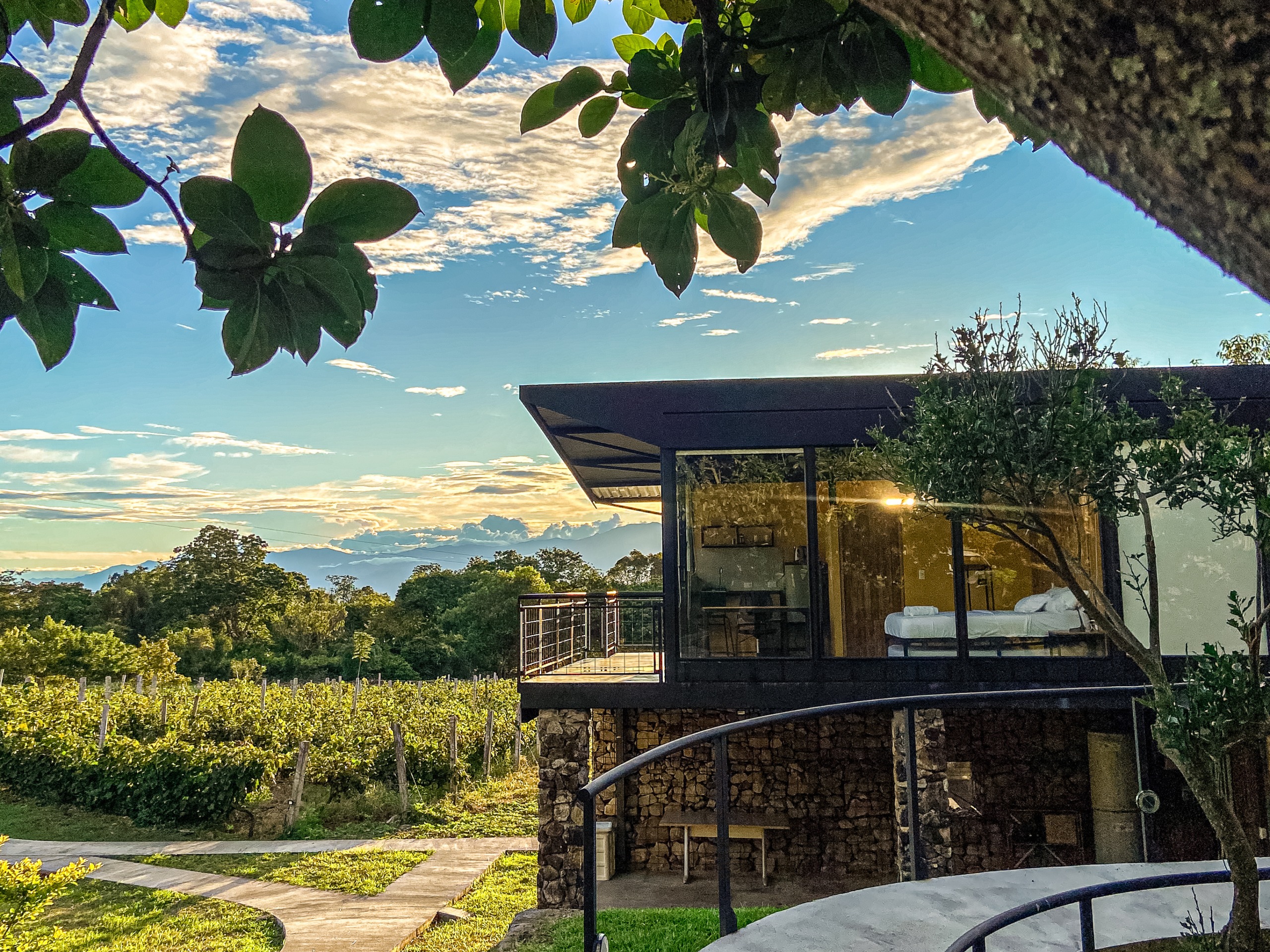 Finca Termópilas - Imagen 7