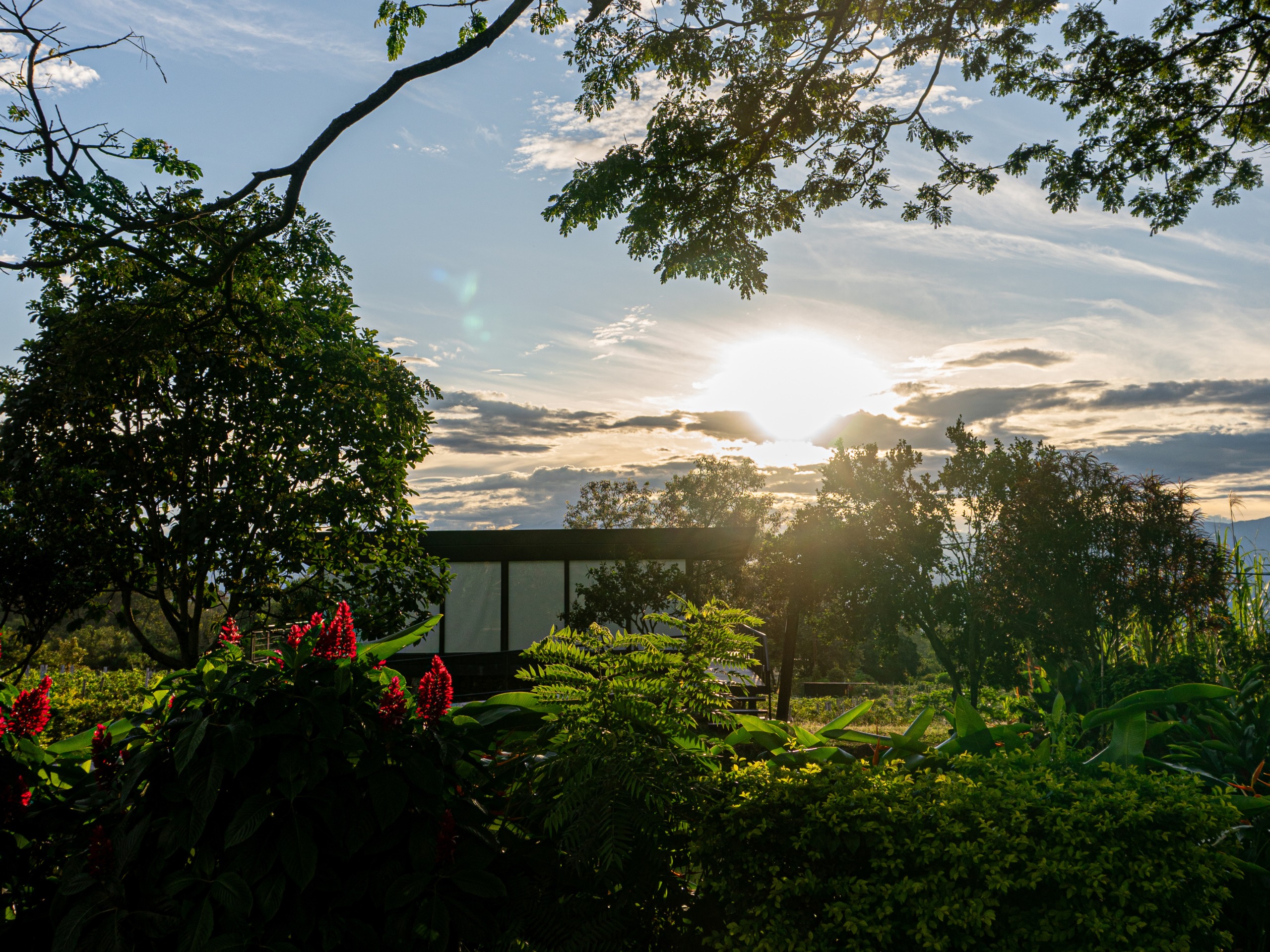 Finca Termópilas - Imagen 8