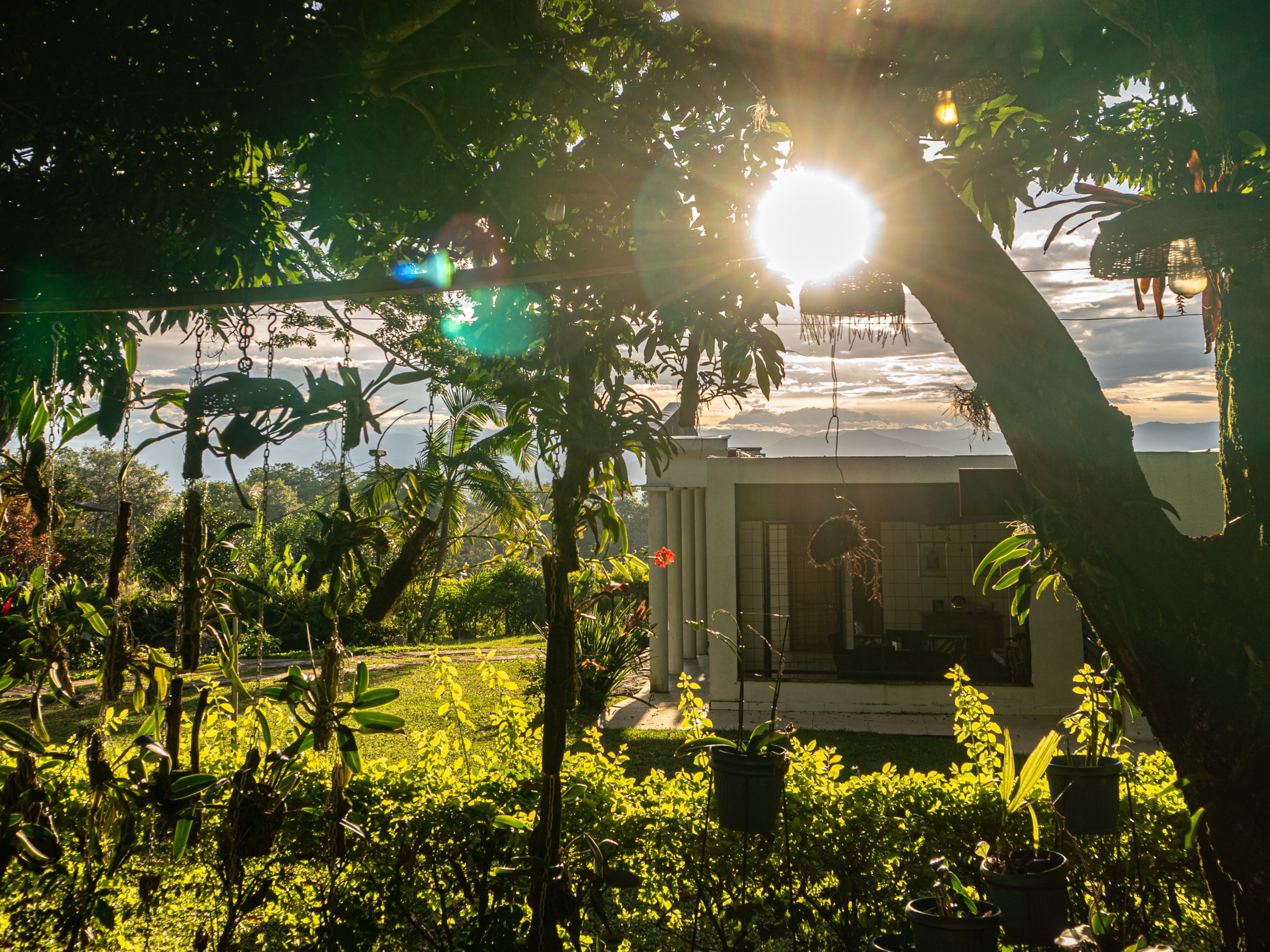 Finca Termópilas - Imagen 11