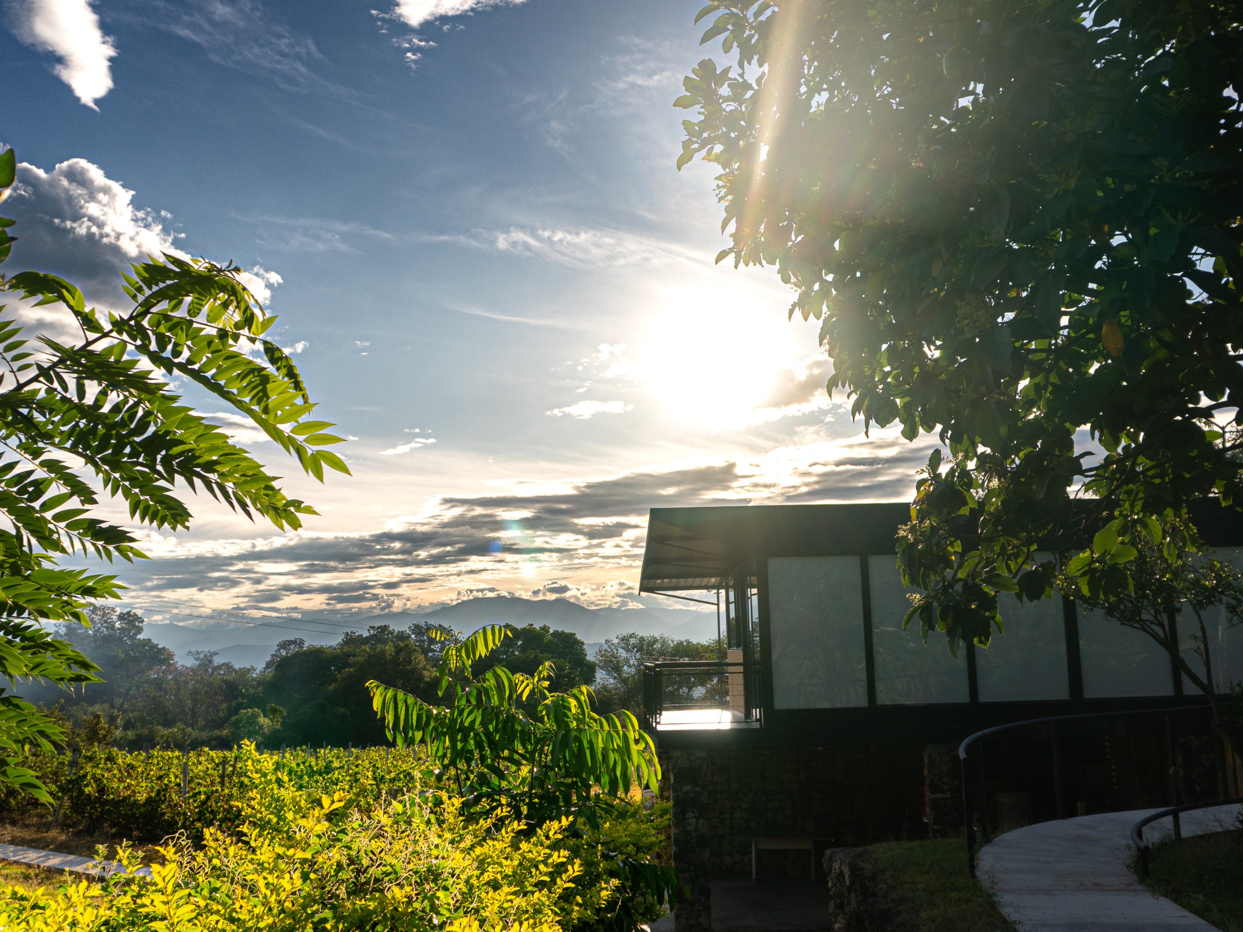 Finca Termópilas - Imagen 13