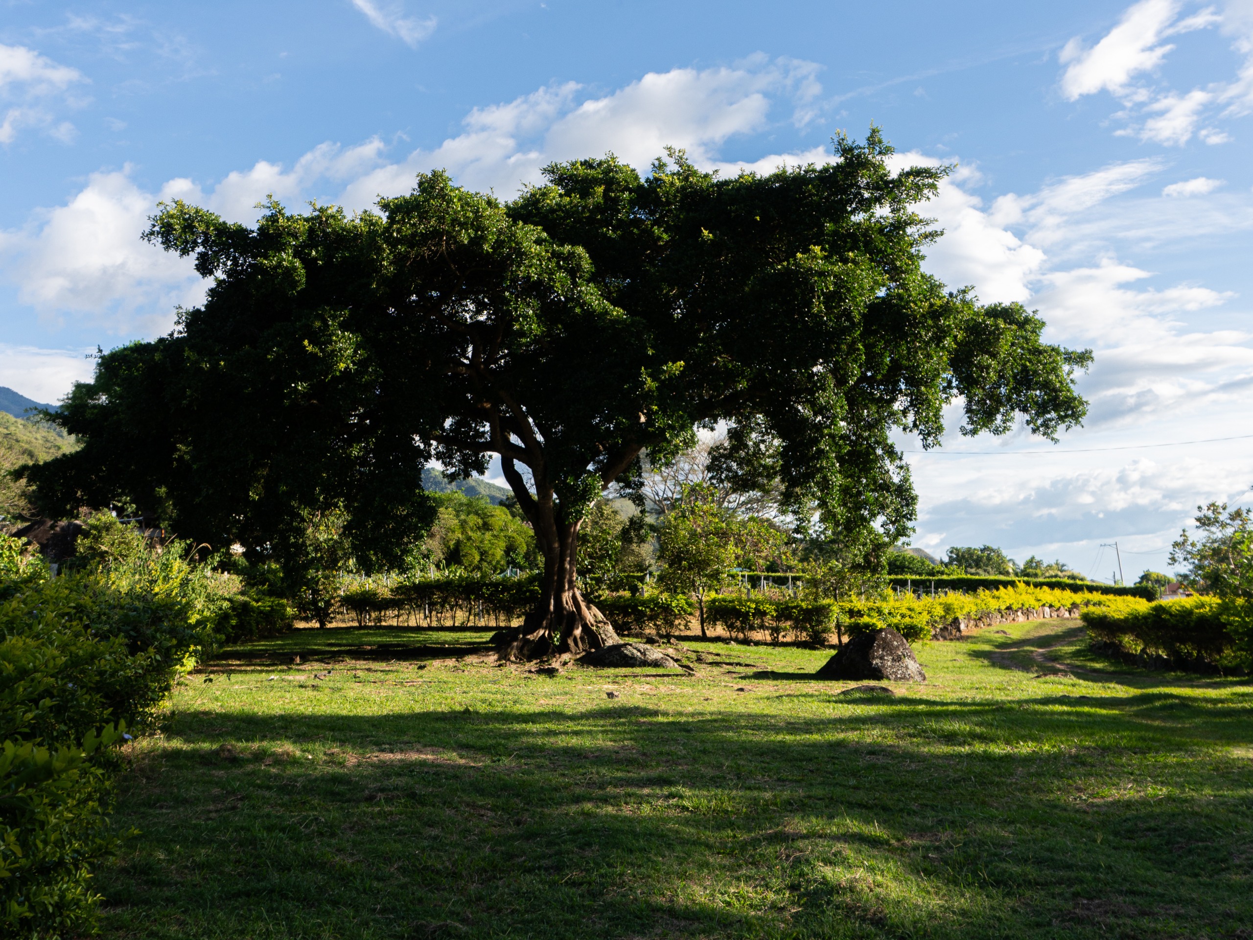 Finca Termópilas - Imagen 15