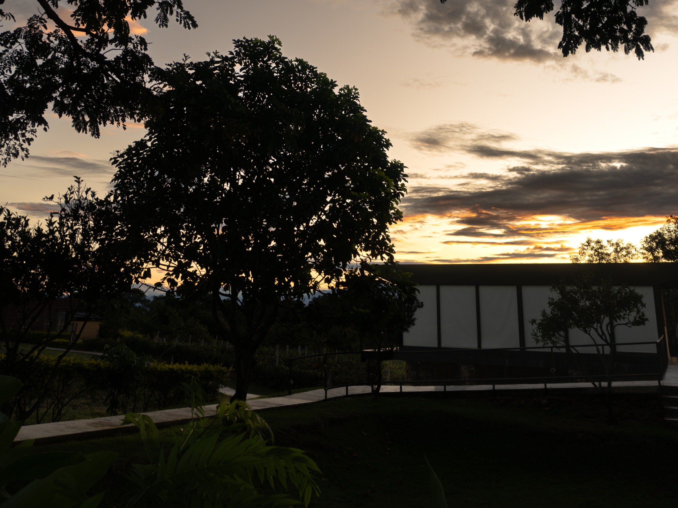 Finca Termópilas - Imagen 16