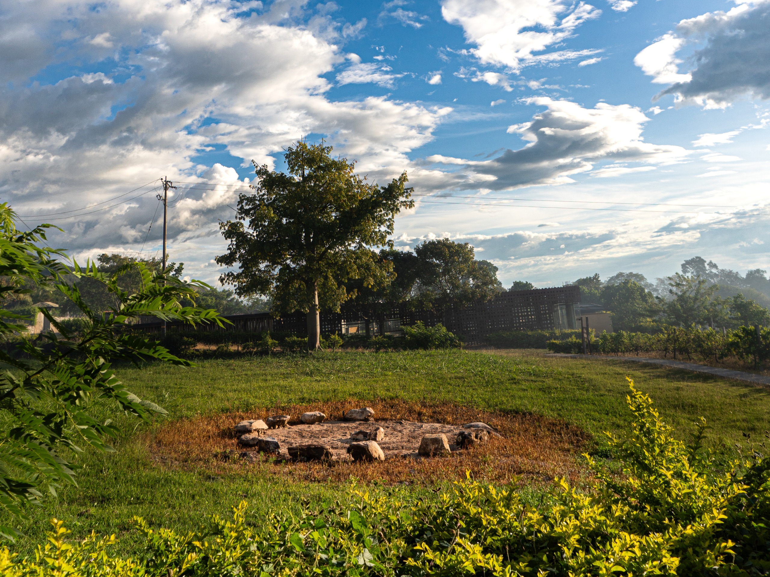 Finca Termópilas - Imagen 17