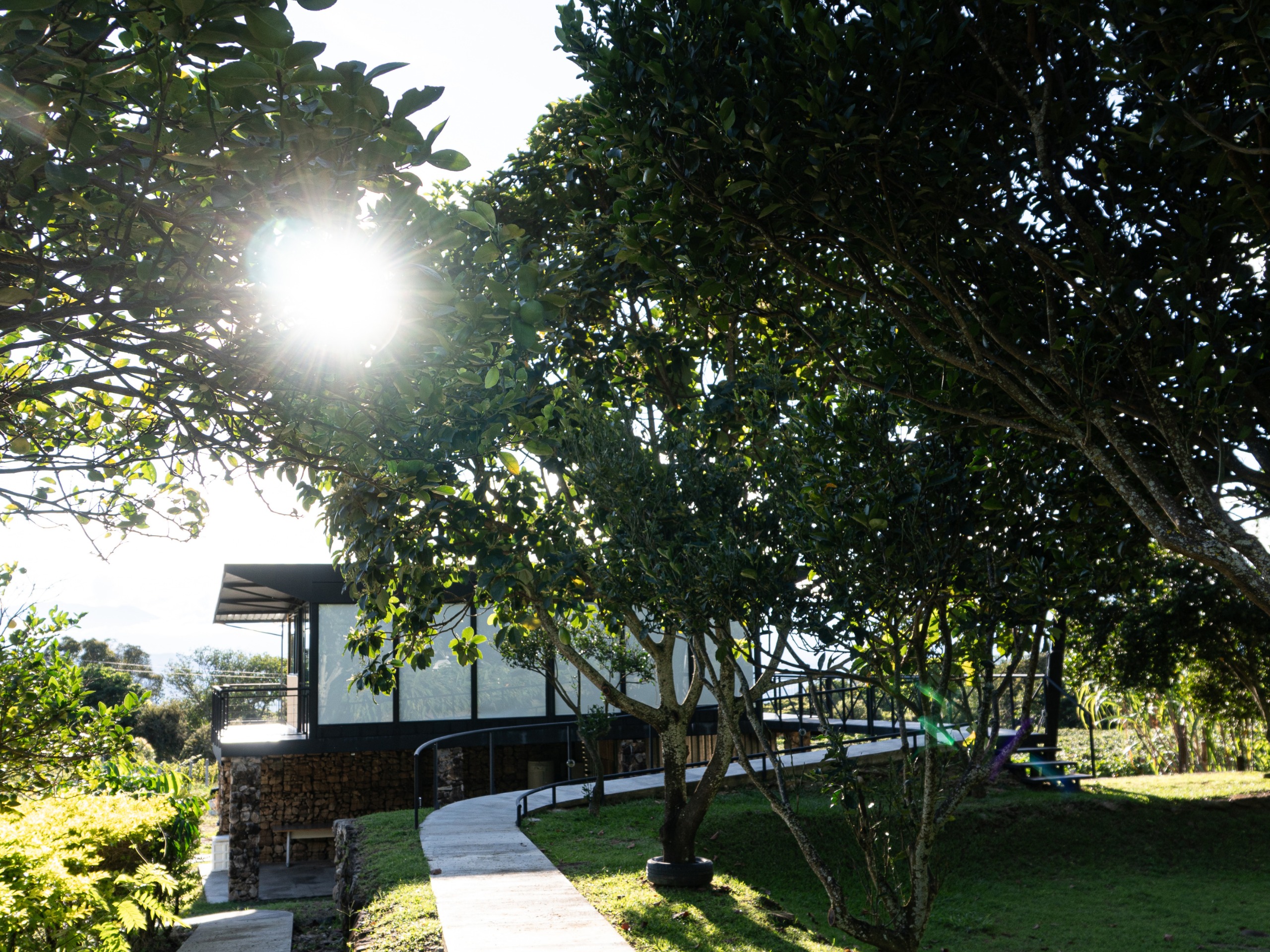 Finca Termópilas - Imagen 20