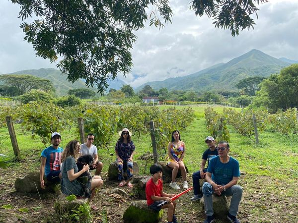 Tour de Vino y Cacao