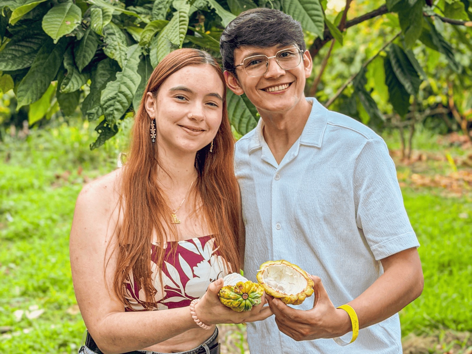 Vista panorámica de la Finca Termópilas con viñedos y árboles de cacao